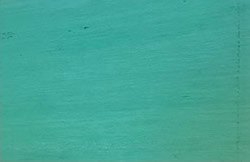 CNAF gasket material